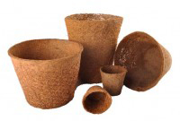 Coco Pots